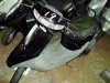  HONDA DIO (  (, ))