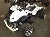  BUGGY BUGGY (  ())