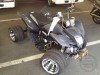  BUGGY BUGGY (  ())