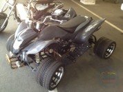  BUGGY BUGGY  2
