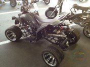  BUGGY BUGGY  3