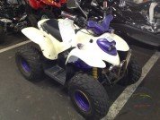  BUGGY BUGGY  1