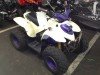  BUGGY BUGGY (  ())