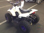  BUGGY BUGGY  2