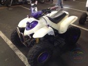  BUGGY BUGGY  3