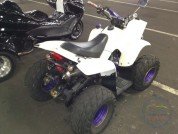 BUGGY BUGGY  4