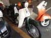  HONDA SUPER CUB 50 (  (, ))