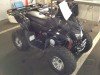  BUGGY BUGGY (  ())