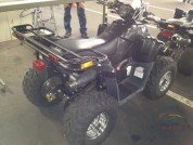  BUGGY BUGGY  2