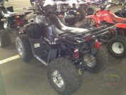  BUGGY BUGGY  3