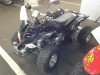  BUGGY BUGGY (  ())