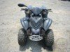  BUGGY BUGGY (  ())