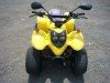  BUGGY BUGGY (  ())