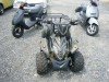  BUGGY BUGGY (  ())