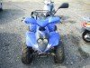  BUGGY BUGGY (  ())