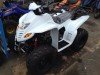  BUGGY BUGGY (  ())