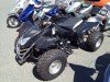  BUGGY BUGGY (  ())
