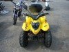  BUGGY BUGGY (  ())