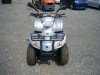  BUGGY BUGGY (  ())