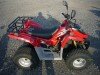  BUGGY BUGGY (  ())
