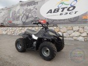  BUGGY BUGGY  1