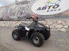  BUGGY BUGGY (  ())