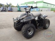  BUGGY BUGGY  2