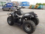  BUGGY BUGGY  3