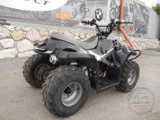  BUGGY BUGGY  4