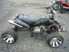  BUGGY BUGGY (  ())