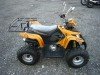  BUGGY BUGGY (  ())