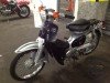  HONDA SUPER CUB 50 (  (, ))