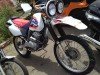  HONDA XR250 BAJA ( )