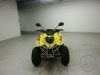  BUGGY BUGGY (  ())