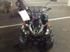  BUGGY BUGGY (  ())
