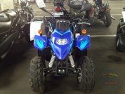  BUGGY BUGGY  1