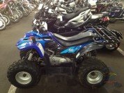  BUGGY BUGGY  2