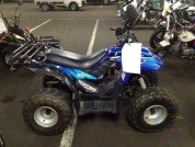  BUGGY BUGGY  3