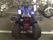  BUGGY BUGGY  4