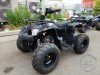  BUGGY BUGGY (  ())