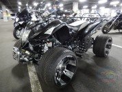  BUGGY BUGGY  2