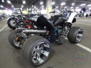  BUGGY BUGGY  3