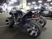  BUGGY BUGGY  4