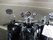  BUGGY BUGGY  5