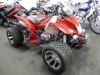  BUGGY BUGGY (  ())