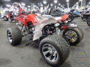  BUGGY BUGGY  2
