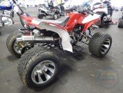  BUGGY BUGGY  3