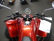  BUGGY BUGGY  5