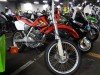  HONDA XR250 ( )