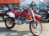  HONDA XR250 ( )